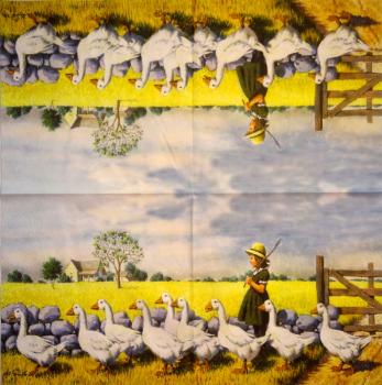 139 Enten - 3-lagig